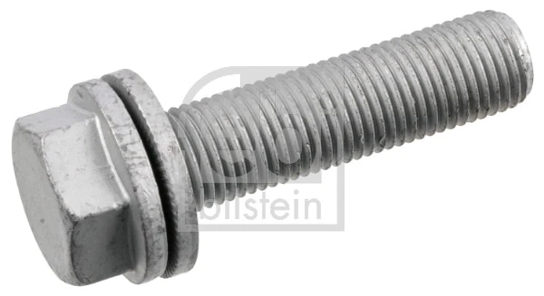 Bolt, brake caliper